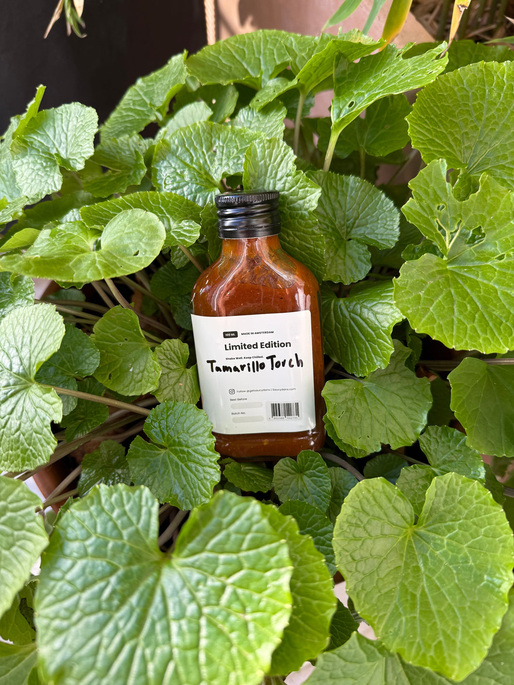 The EX | Saucy Dans' Experimental Sauce Program